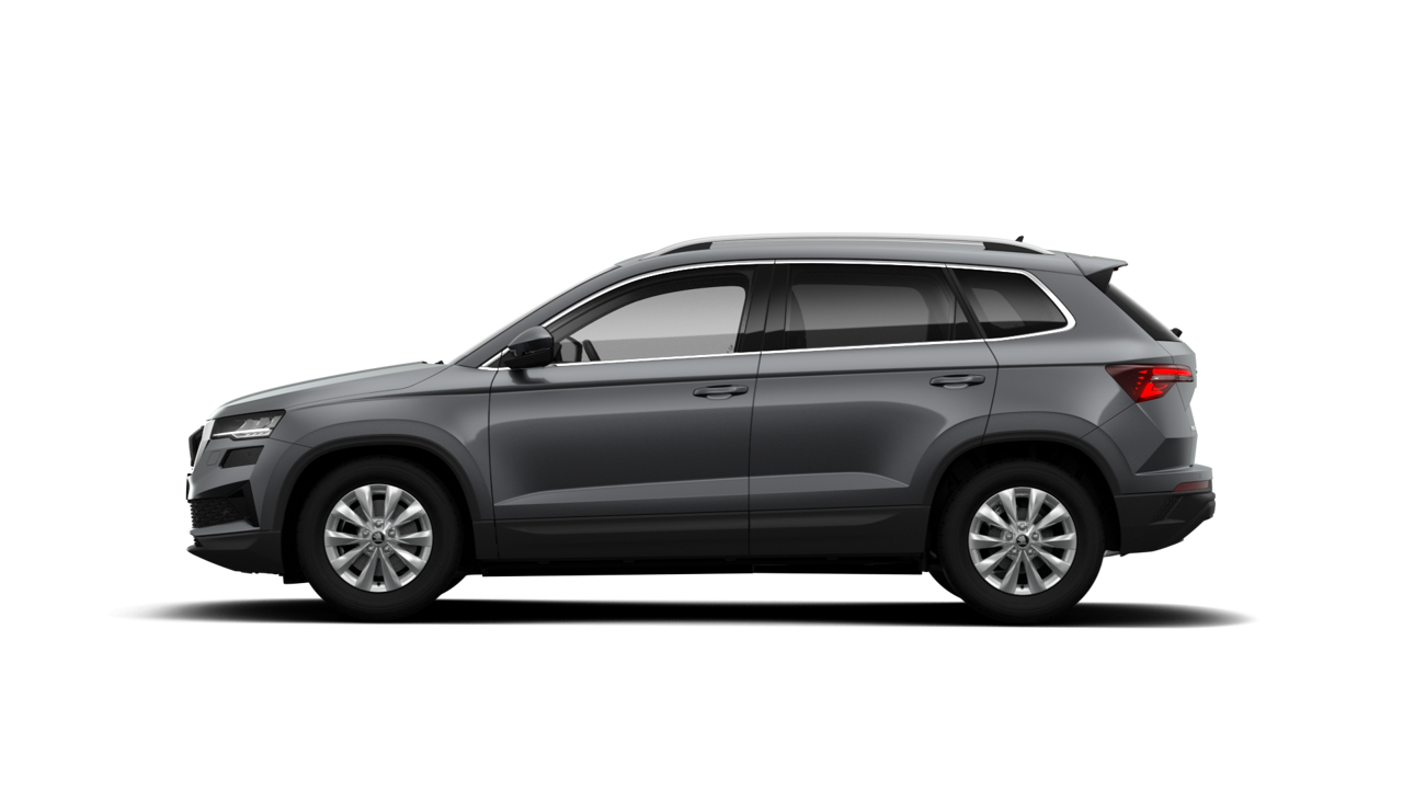Bild eines Karoq Selection TDI DSG