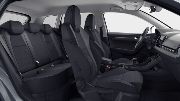 Bild eines Karoq 4x4 Selection TDI DSG