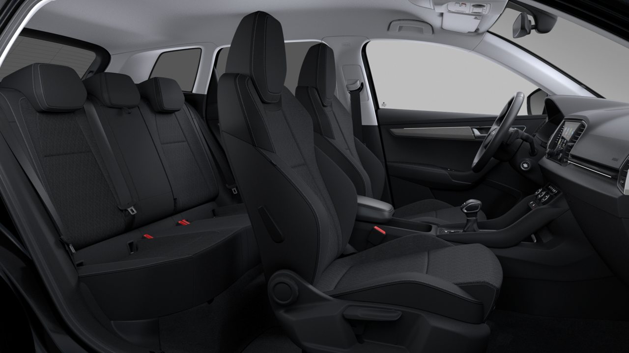 Bild eines Karoq 4x4 Selection TDI DSG