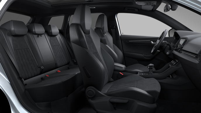 Bild eines Karoq 4x4 Sportline TSI DSG