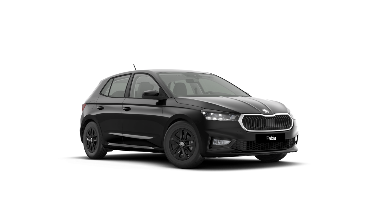 Bild eines Fabia Selection TSI