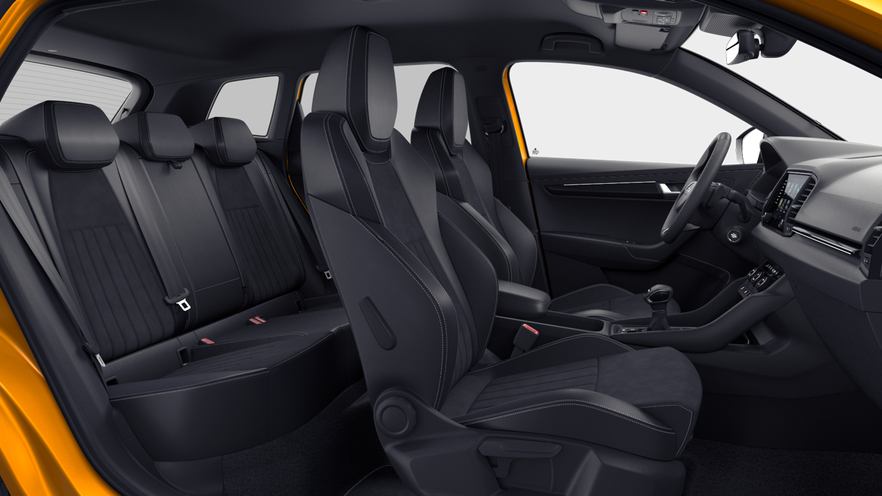 Bild eines Karoq Sportline TSI DSG ACT