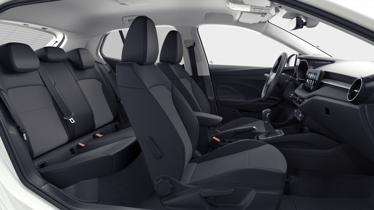 Bild eines Fabia Selection TSI DSG