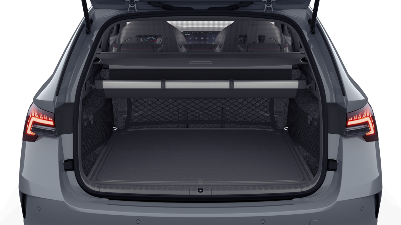 Bild eines Octavia Combi RS