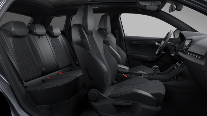 Bild eines Karoq 4x4 Sportline TDI DSG