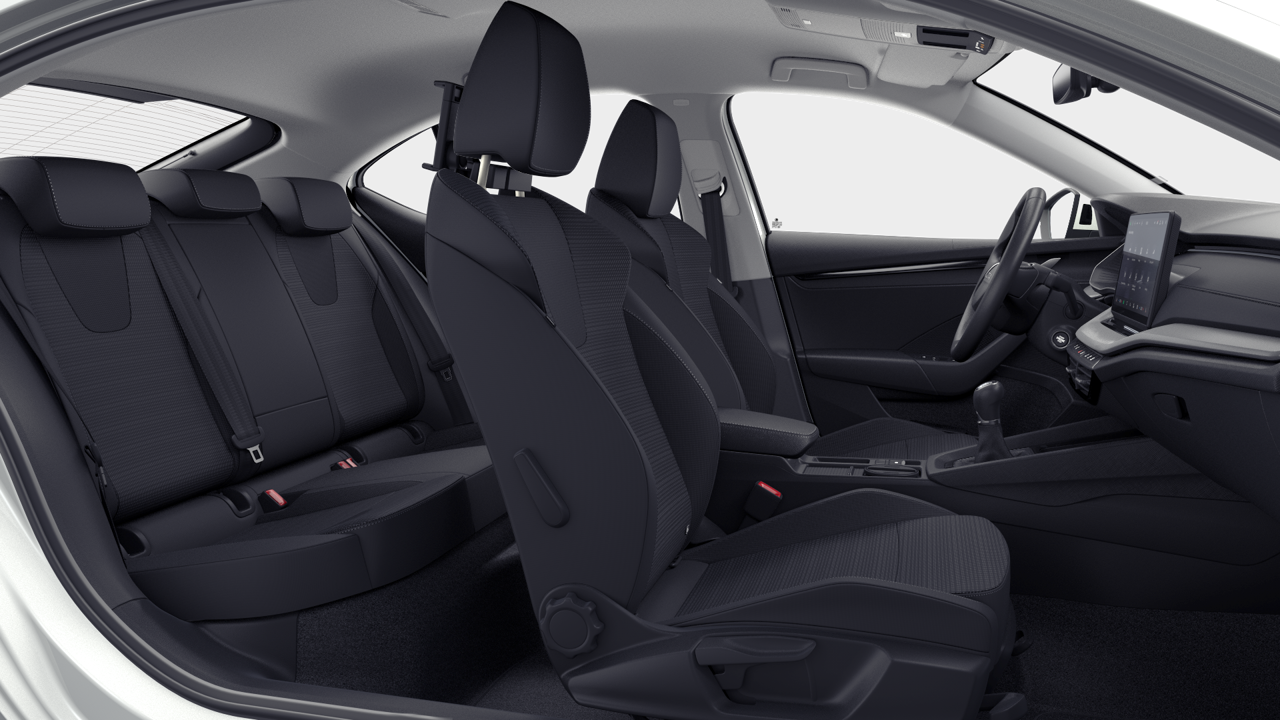 Bild eines Octavia Selection TSI