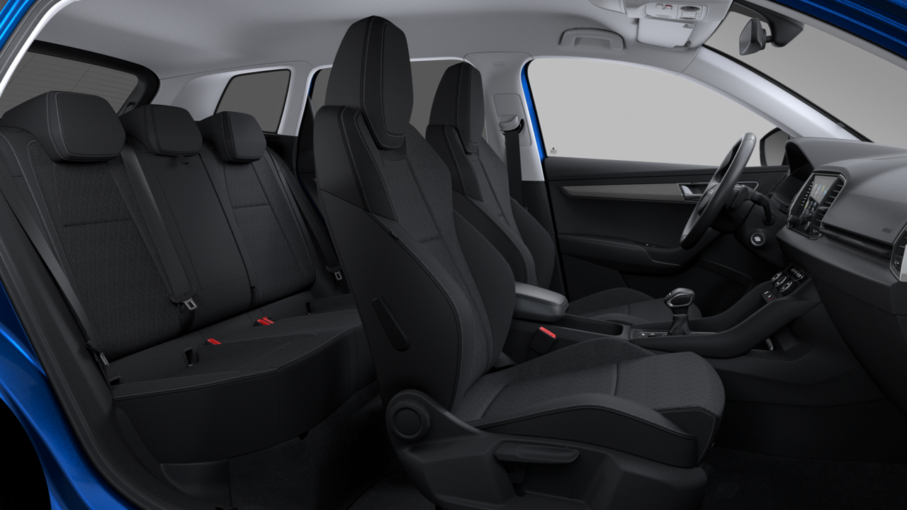 Bild eines Karoq 4x4 Selection TDI DSG