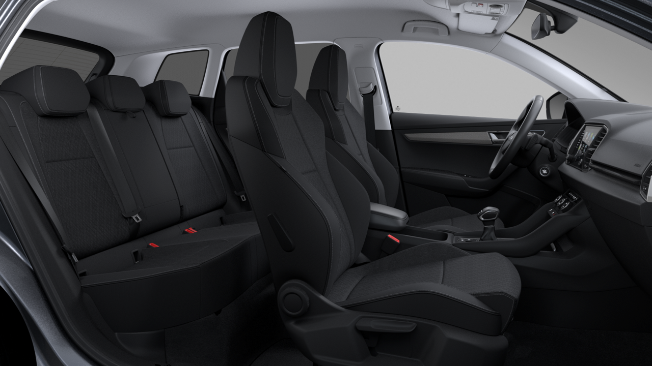 Bild eines Karoq 4x4 Selection TDI DSG