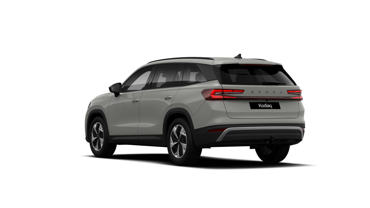 Bild eines Kodiaq Selection TDI DSG