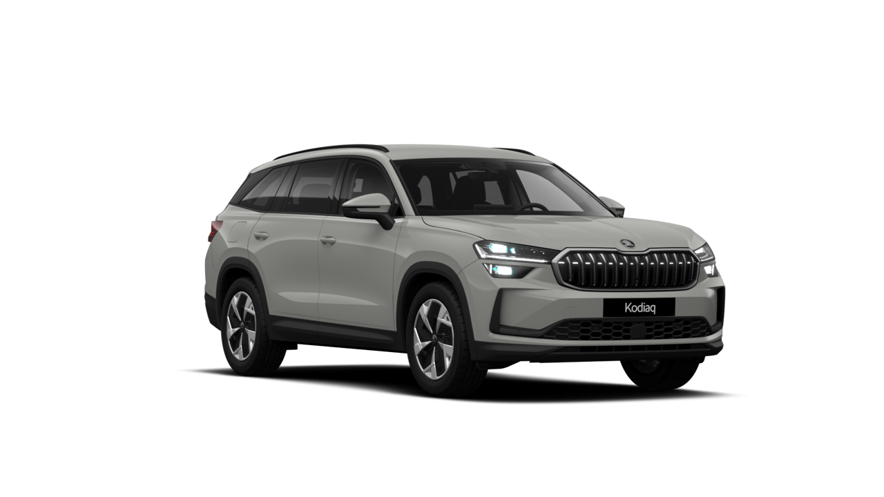 Bild eines Kodiaq Selection TDI DSG