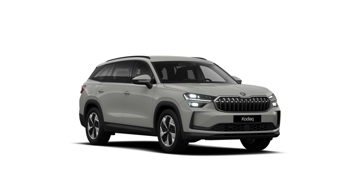 Bild eines Kodiaq Selection TDI DSG