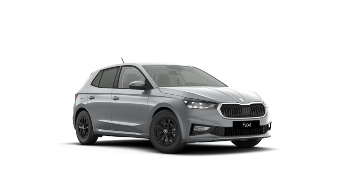 Bild eines Fabia Selection TSI