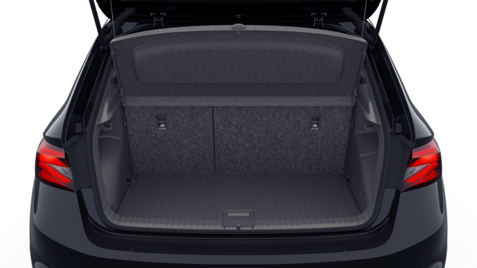 Bild eines Fabia Monte Carlo TSI