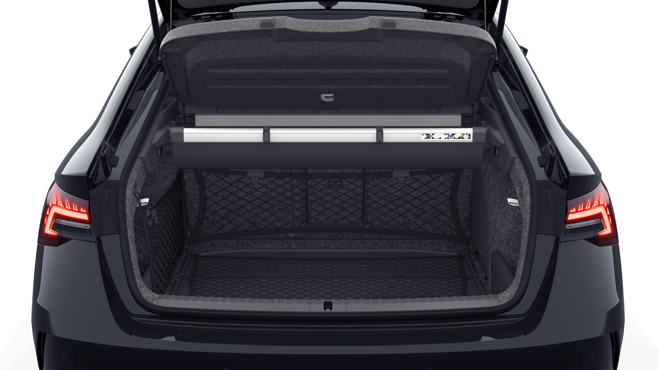 Bild eines Octavia RS