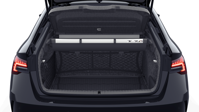Bild eines Octavia RS