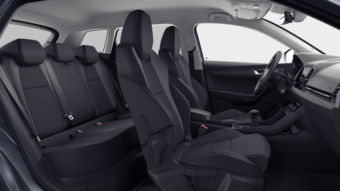 Bild eines Karoq Selection TDI DSG