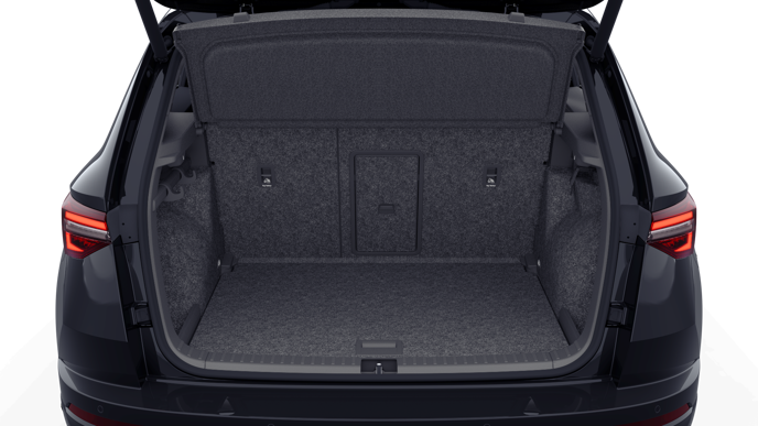 Bild eines Karoq 4x4 Sportline TDI DSG
