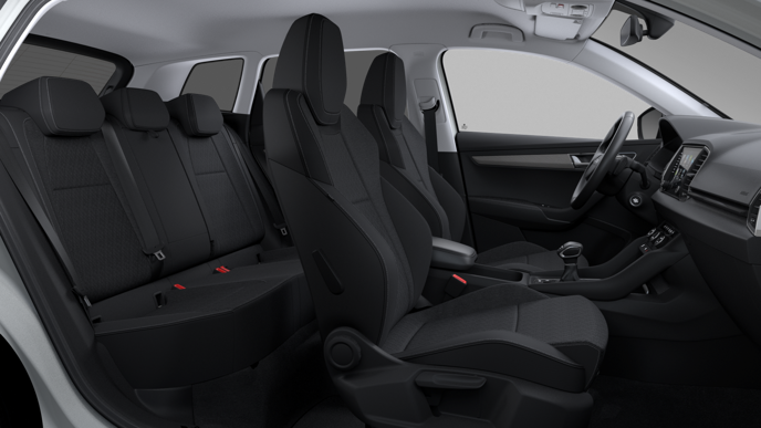 Bild eines Karoq 4x4 Selection TDI DSG
