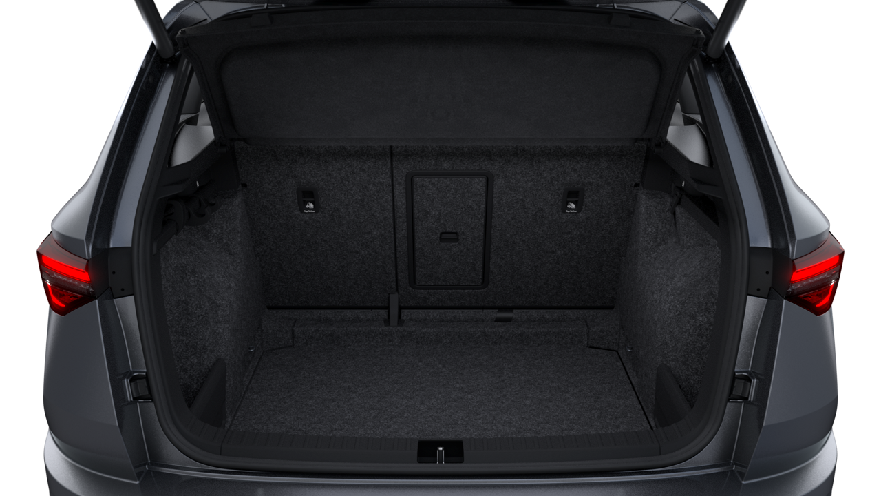 Bild eines Karoq Sportline TDI DSG