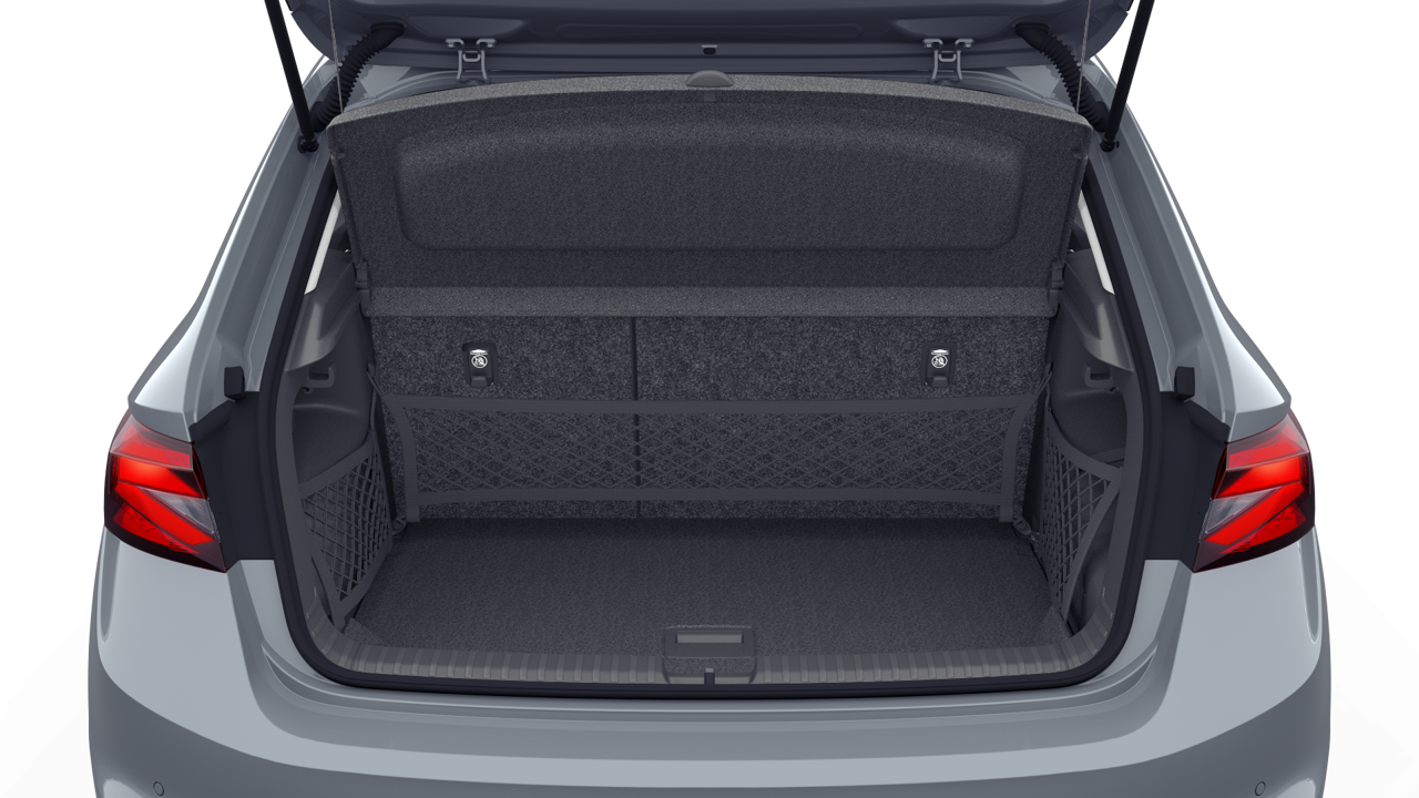 Bild eines Fabia Selection TSI