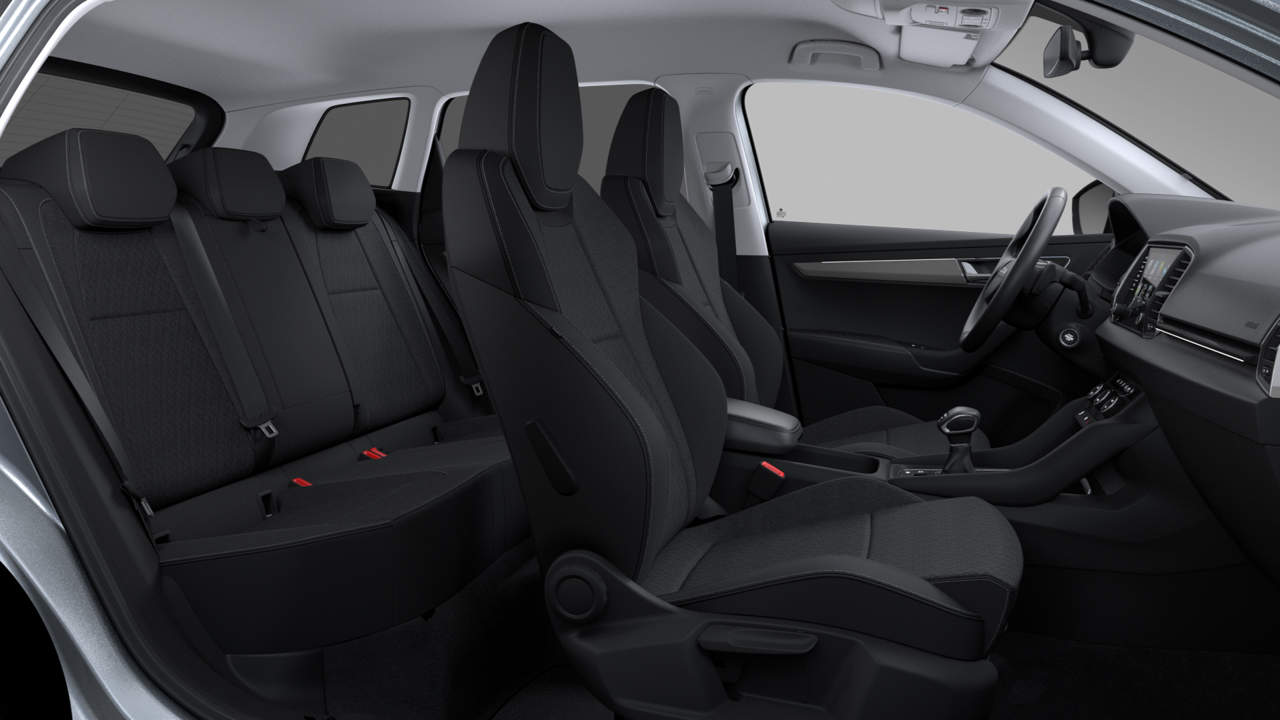 Bild eines Karoq 4x4 Selection TDI DSG