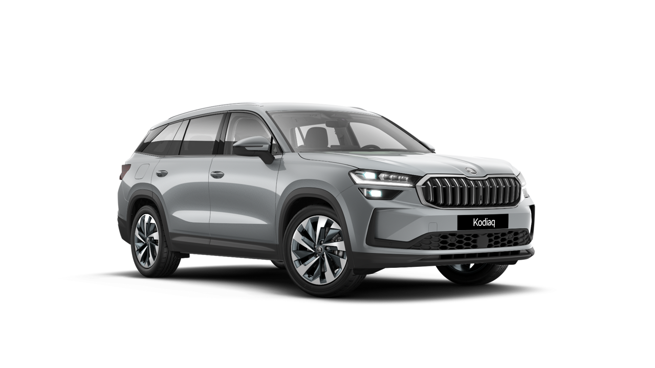 Bild eines Kodiaq Selection TDI DSG