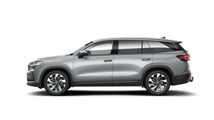 Bild eines Kodiaq Selection TDI DSG