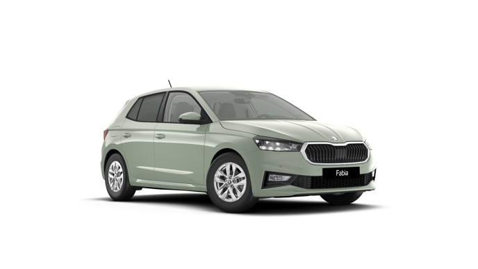 Bild eines Fabia Selection