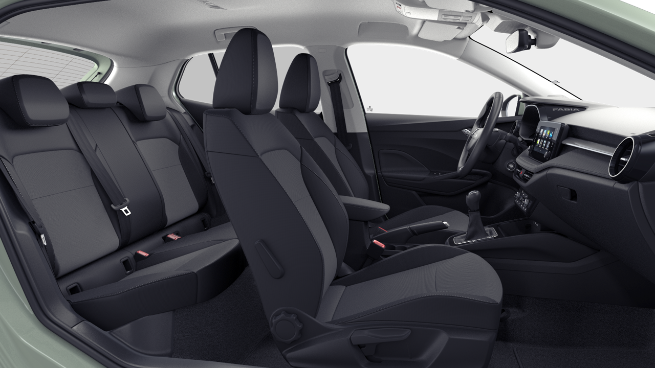 Bild eines Fabia Selection