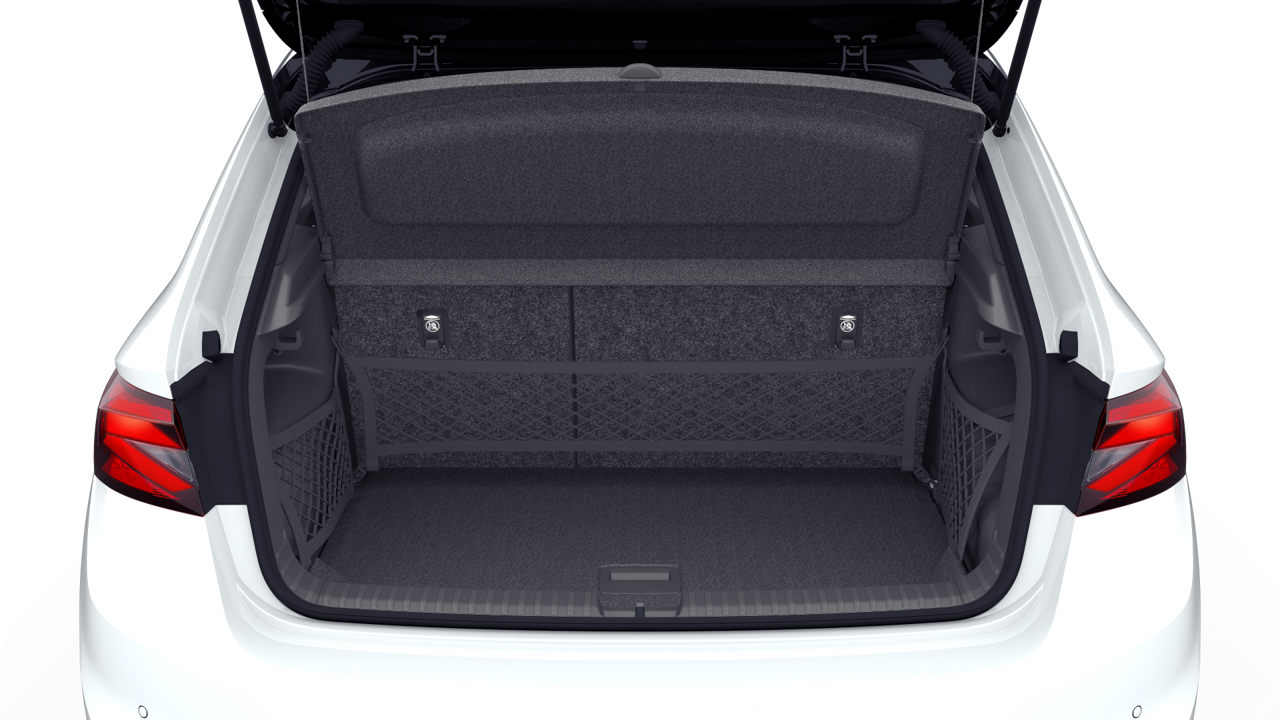 Bild eines Fabia Selection TSI DSG