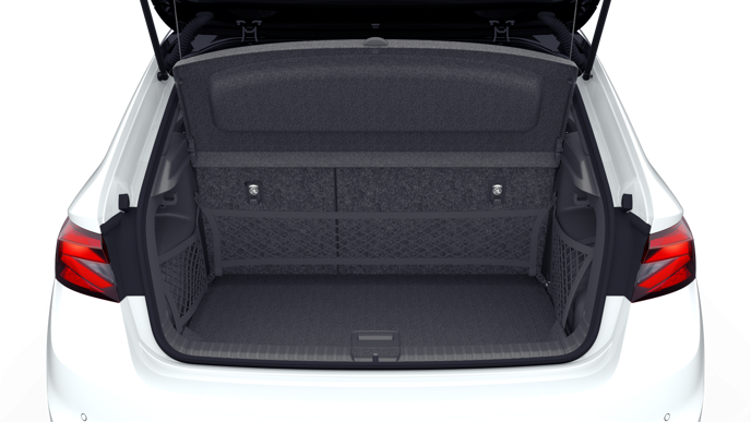 Bild eines Fabia Selection TSI DSG