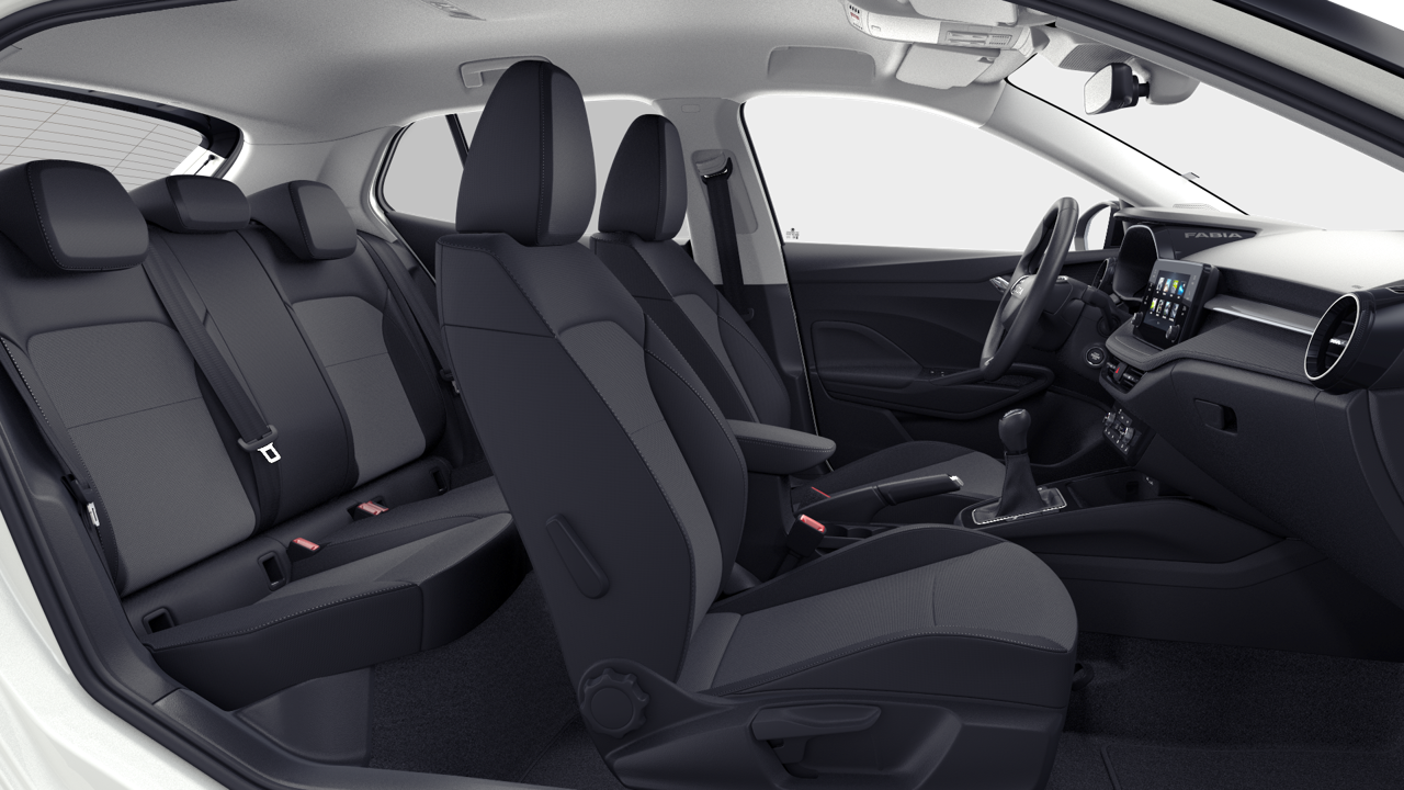 Bild eines Fabia Selection TSI