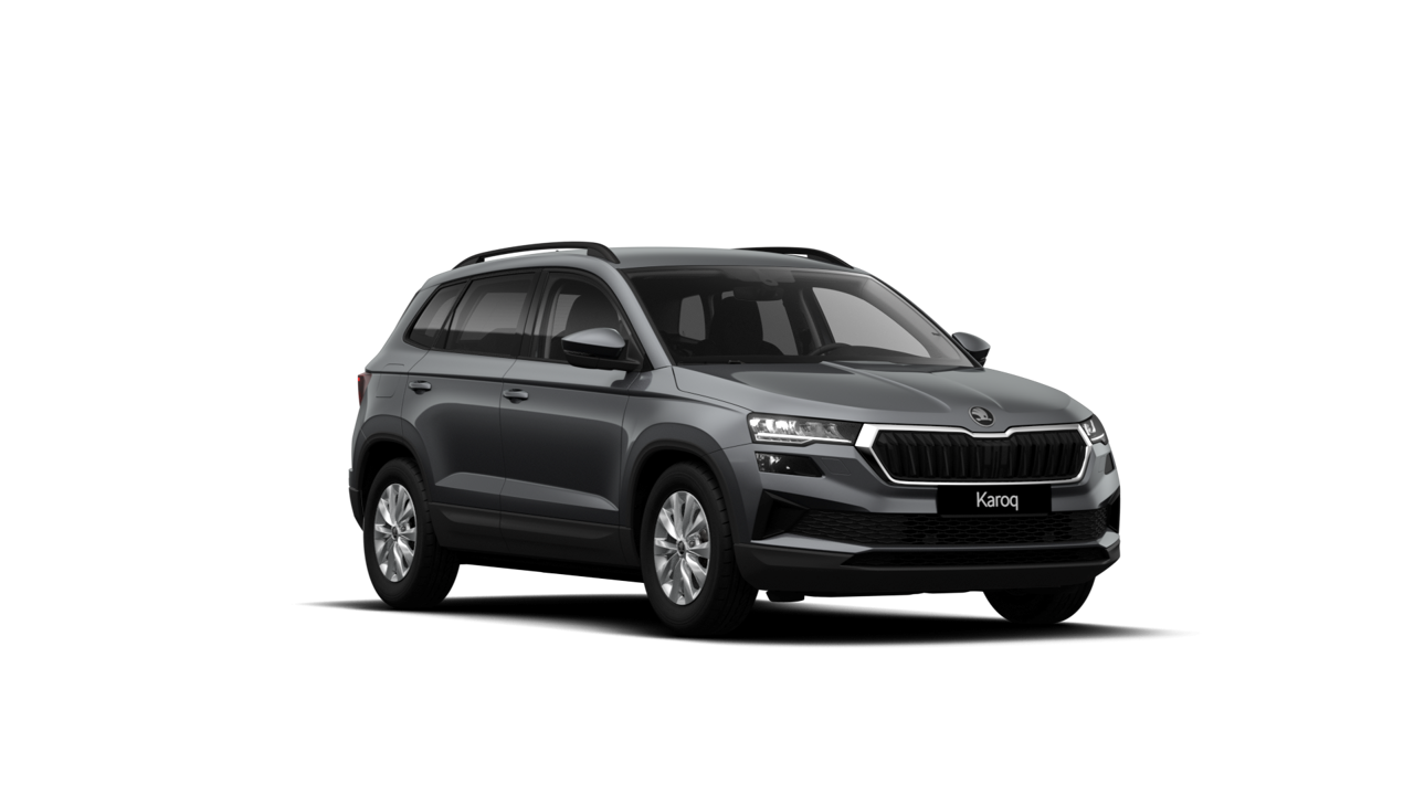 Bild eines Karoq 4x4 Selection TDI DSG
