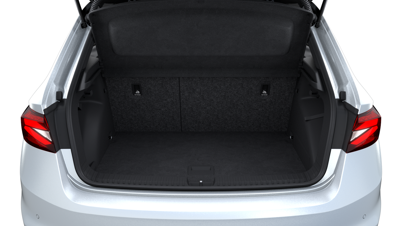 Bild eines Fabia Monte Carlo TSI
