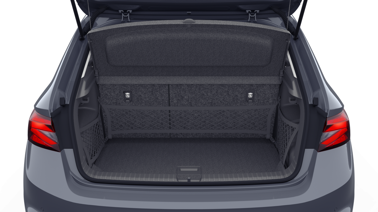 Bild eines Fabia Selection TSI DSG