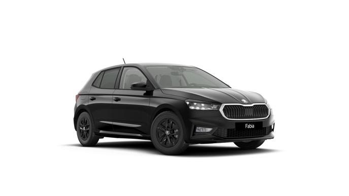 Bild eines Fabia Selection TSI DSG