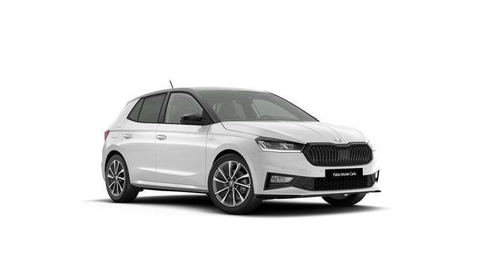 Bild eines Fabia Monte Carlo TSI DSG