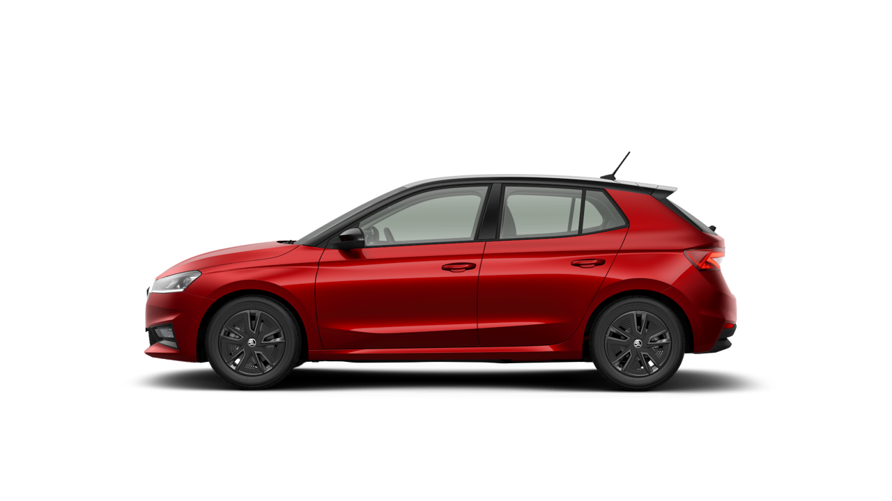 Bild eines Fabia Selection TSI DSG