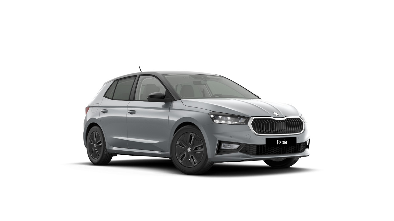 Bild eines Fabia Selection TSI