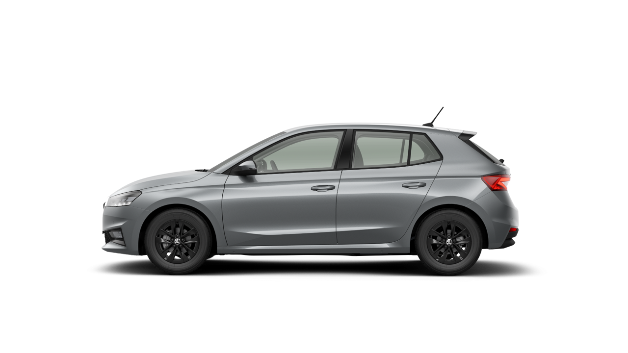 Bild eines Fabia Selection TSI