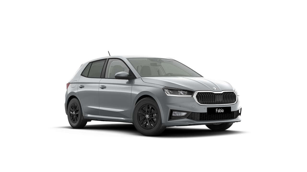 Bild eines Fabia Selection TSI