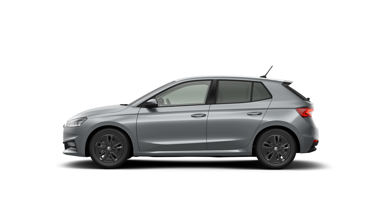 Bild eines Fabia Selection TSI