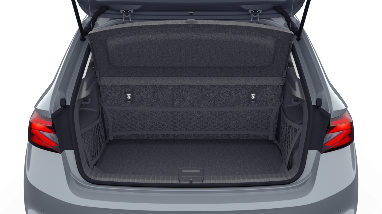 Bild eines Fabia Selection TSI
