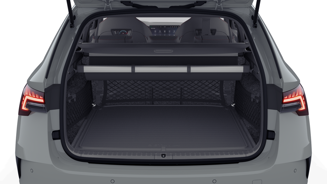 Bild eines Octavia Combi RS
