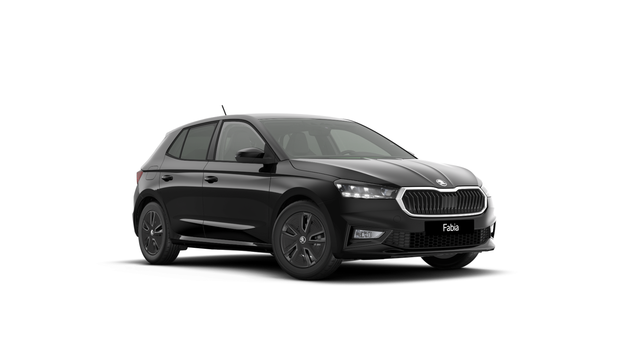 Bild eines Fabia Selection TSI