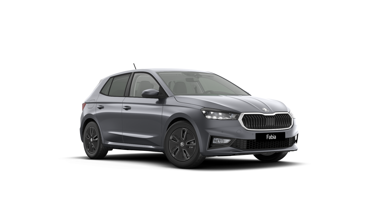 Bild eines Fabia Selection TSI