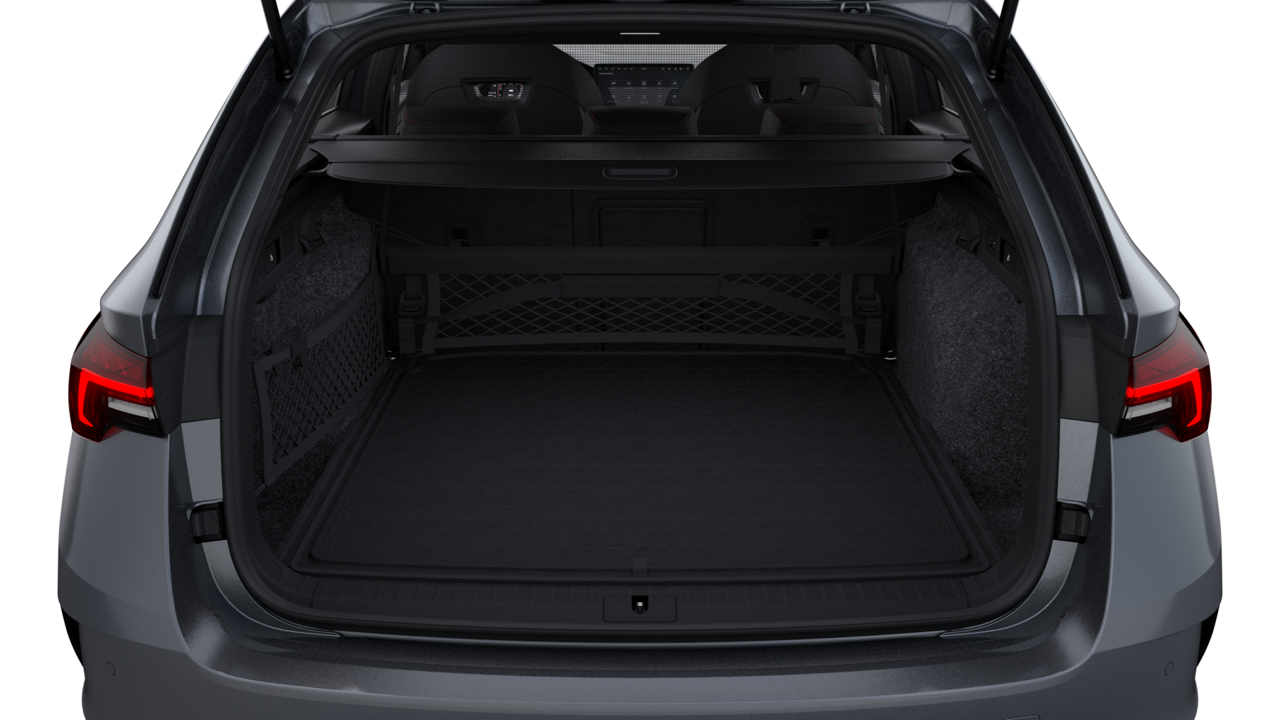 Bild eines Octavia Combi RS