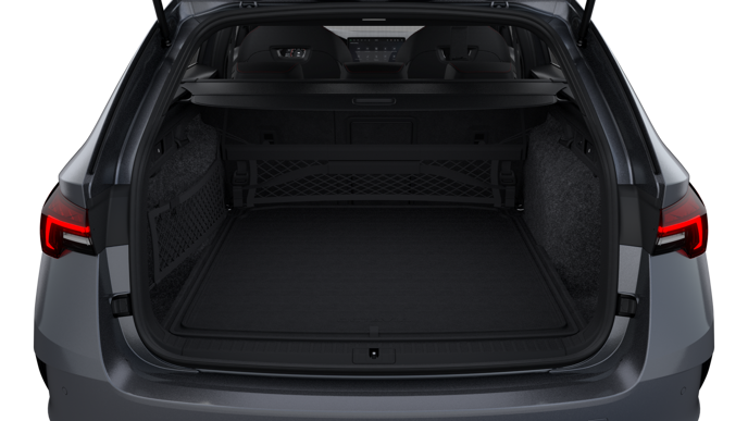 Bild eines Octavia Combi RS