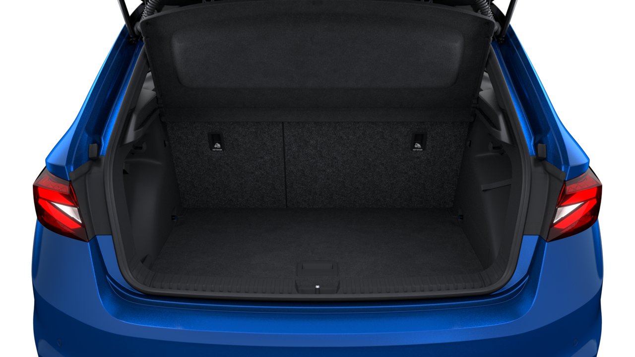Bild eines Fabia Monte Carlo TSI