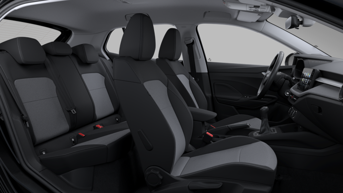 Bild eines Fabia Selection